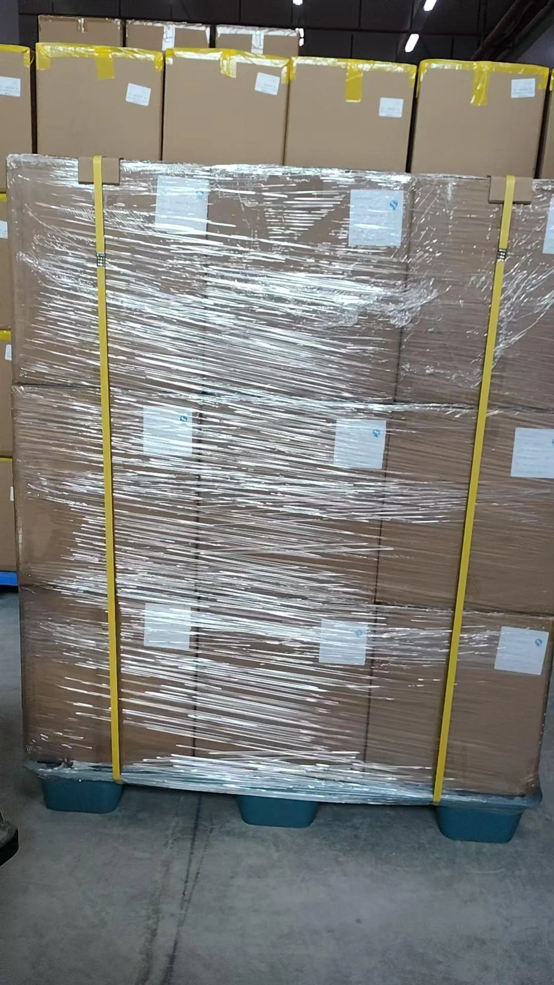 Export Packing & Shipping
